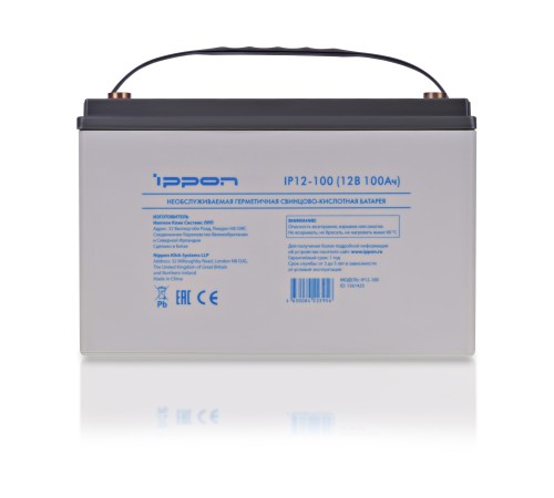 Аккумулятор Ippon IP12-100 1361425