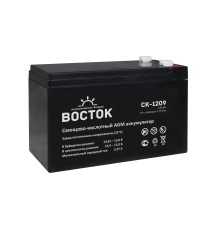 Аккумулятор Восток CK-1209 4614050020002
