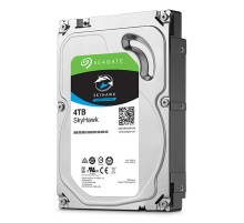 Жесткий диск Seagate ST4000VX013