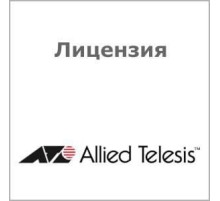 Лицензия Allied Telesis AT-FL-19B
