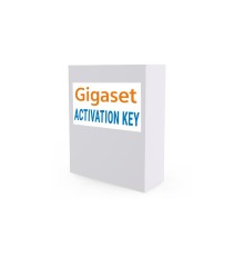 Лицензия DECT-менеджера N870 Gigaset S30852-H2716-X2