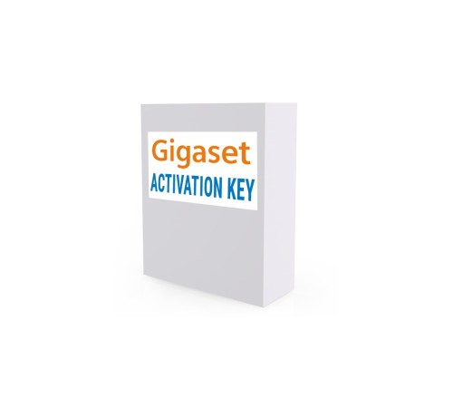 Лицензия DECT-менеджера N870 Gigaset S30852-H2716-X2