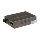 Медиаконвертер Planet GT-802S