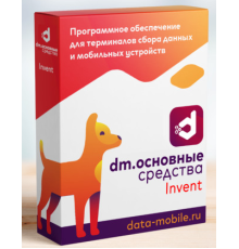 Программное обеспечение DataMobile DM.Invent - подписка на 1 месяц DMI1m