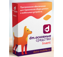 Программное обеспечение DataMobile DM.Invent - подписка на 6 месяцев DMI6m