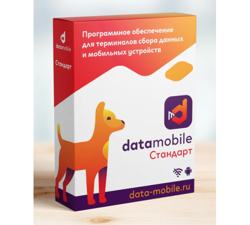 Программное обеспечение DataMobile версия Стандарт - подписка на 12 месяцев DM12m